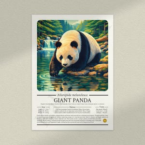 Giant Panda Poster: Educational Wildlife Infographic Fact File