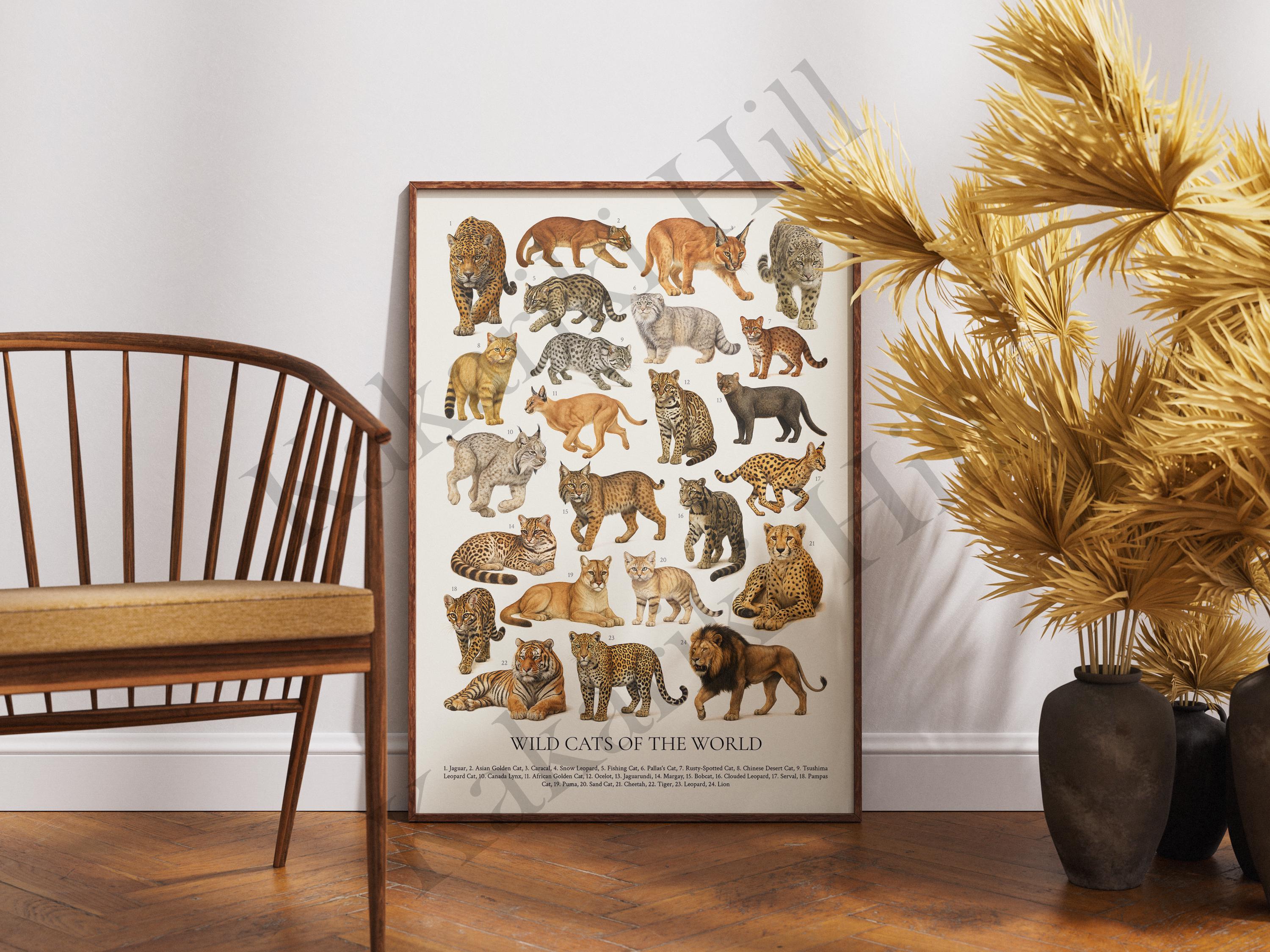 Wild Cats of the World Poster: Retro Animal Identification Chart