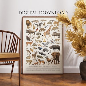 May include: A framed poster titled "Animals of the Kalahari Desert" featuring illustrations of various African animals. The poster is displayed against a white wall, next to a wooden chair and decorative vase with dried plants. The words "DIGITAL DOWNLOAD" are at the top.