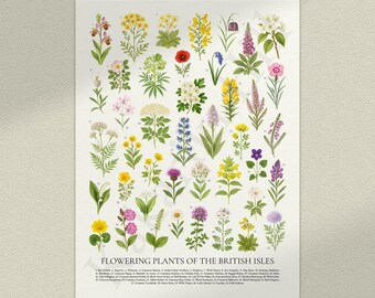 イギリス諸島の顕花植物ポスター：レトロな植物識別チャート - Etsy 日本
