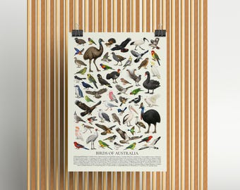 オーストラリアの鳥類：レトロスタイルの鳥類図鑑 - Etsy 日本