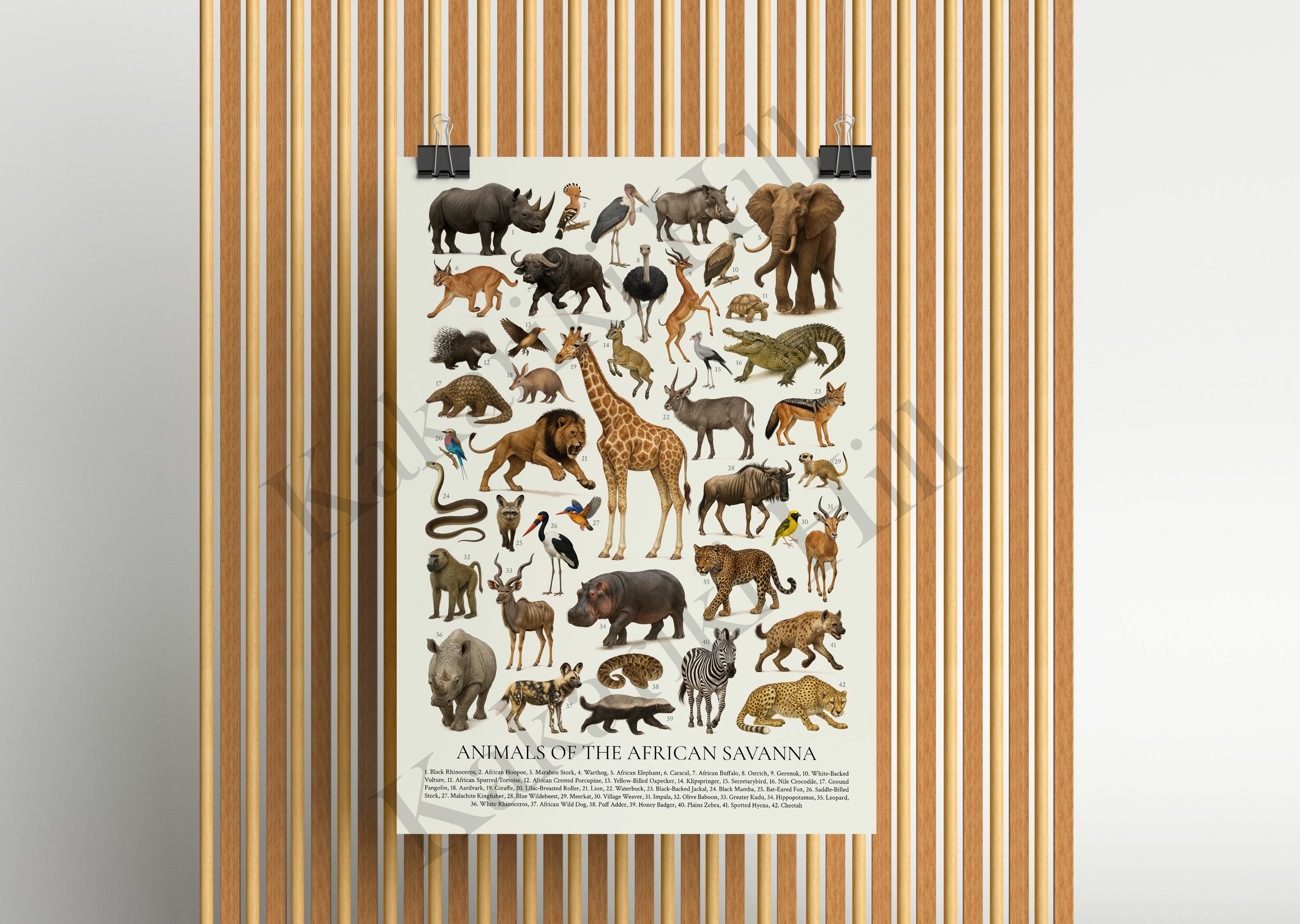 アフリカのサバンナの動物ポスター：レトロな識別チャート - Etsy 日本