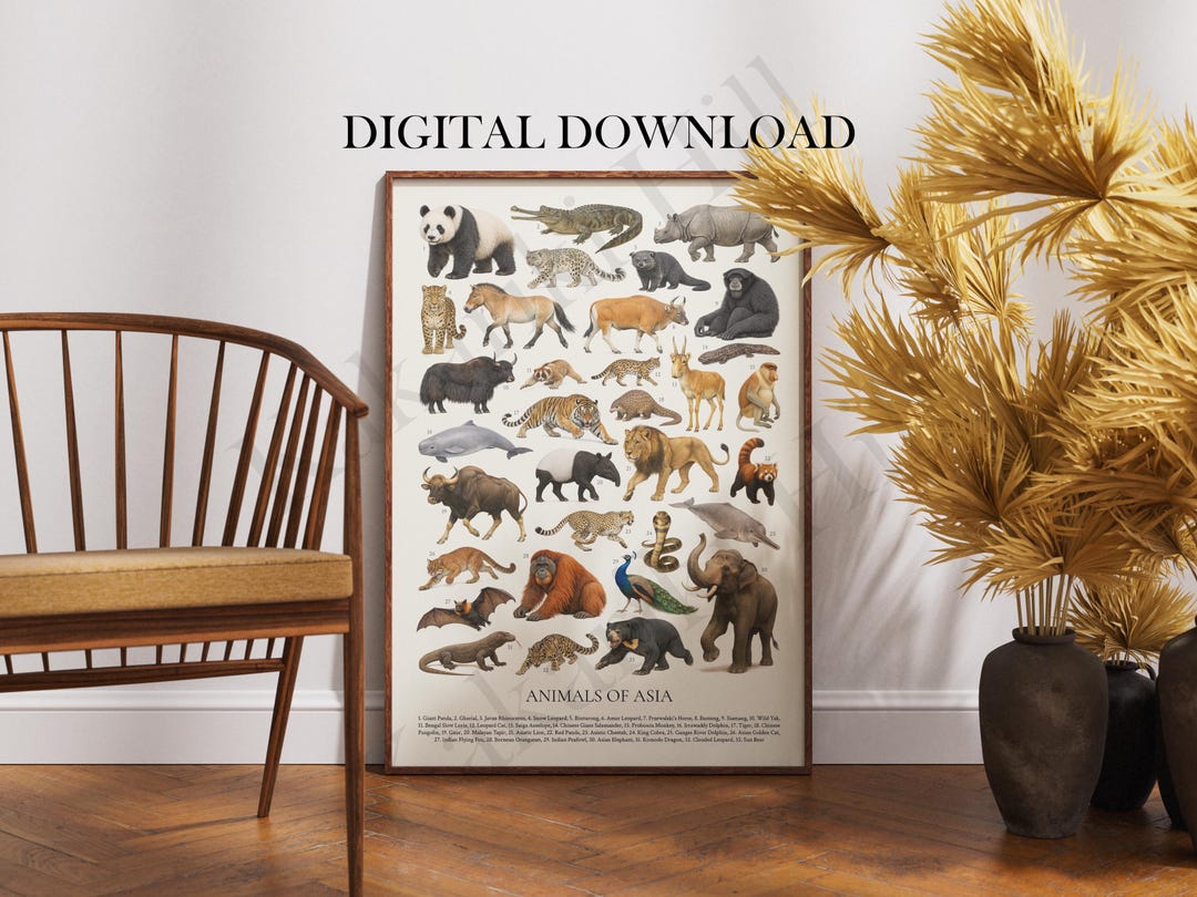 Animals of Asia Poster Digital Download: Retro Wildlife