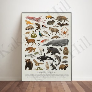 Animals of Japan Poster: Educational Animal Wildlife Identification Chart