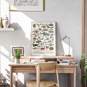 Op de afbeelding: Een ingelijste poster getiteld "Animals of the Great Barrier Reef" met illustraties van mariene dieren. De poster staat op een houten bureau met een kleine plant, een lamp en een stoel. De kamer heeft een neutraal kleurenpalet.