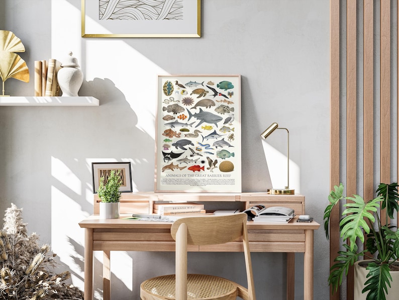 Op de afbeelding: Een ingelijste poster getiteld "Animals of the Great Barrier Reef" met illustraties van mariene dieren. De poster staat op een houten bureau met een kleine plant, een lamp en een stoel. De kamer heeft een neutraal kleurenpalet.