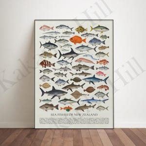 May include: A vertical poster titled SEA FISHES OF NEW ZEALAND featuring a detailed collection of various fish species illustrated in color. The print displays numerous marine animals arranged in rows with numbered labels and a legend at the bottom.