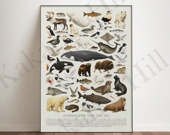 Op de afbeelding: Een verticale poster met een verzameling gedetailleerde illustraties van diverse arctische dieren, waaronder een ijsbeer, walrus, narwal, orka en rendier, op een lichte achtergrond met de tekst ANIMALS OF THE ARCTIC onderaan.