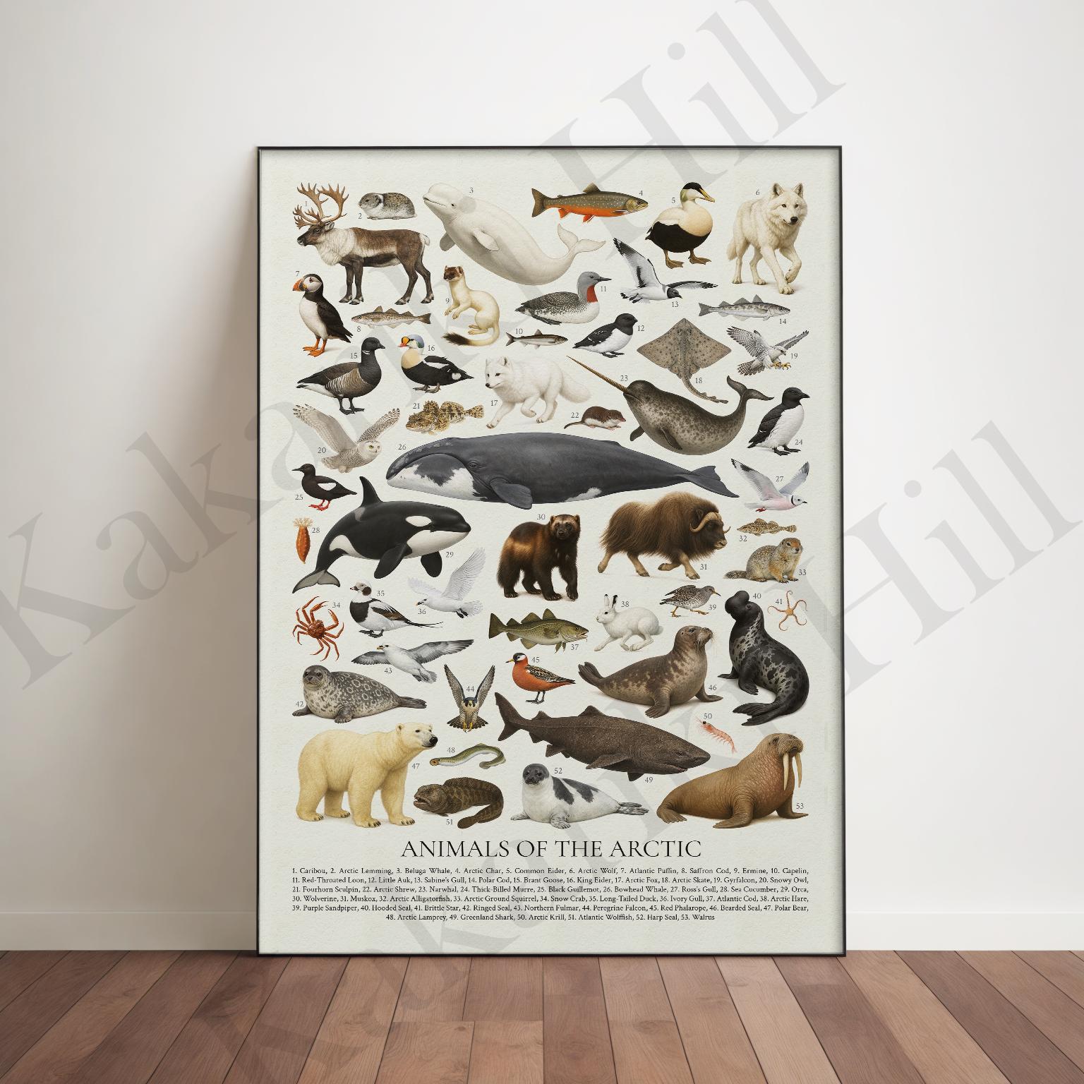 北極の動物ポスター：レトロポーラー識別チャート - Etsy 日本