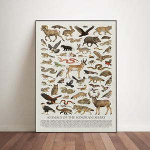 Animals of the Sonoran Desert Poster: Retro Illustration, Educational Wall Art