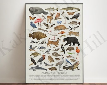 Animals of Florida Poster: Educational Wildlife Identification Chart
