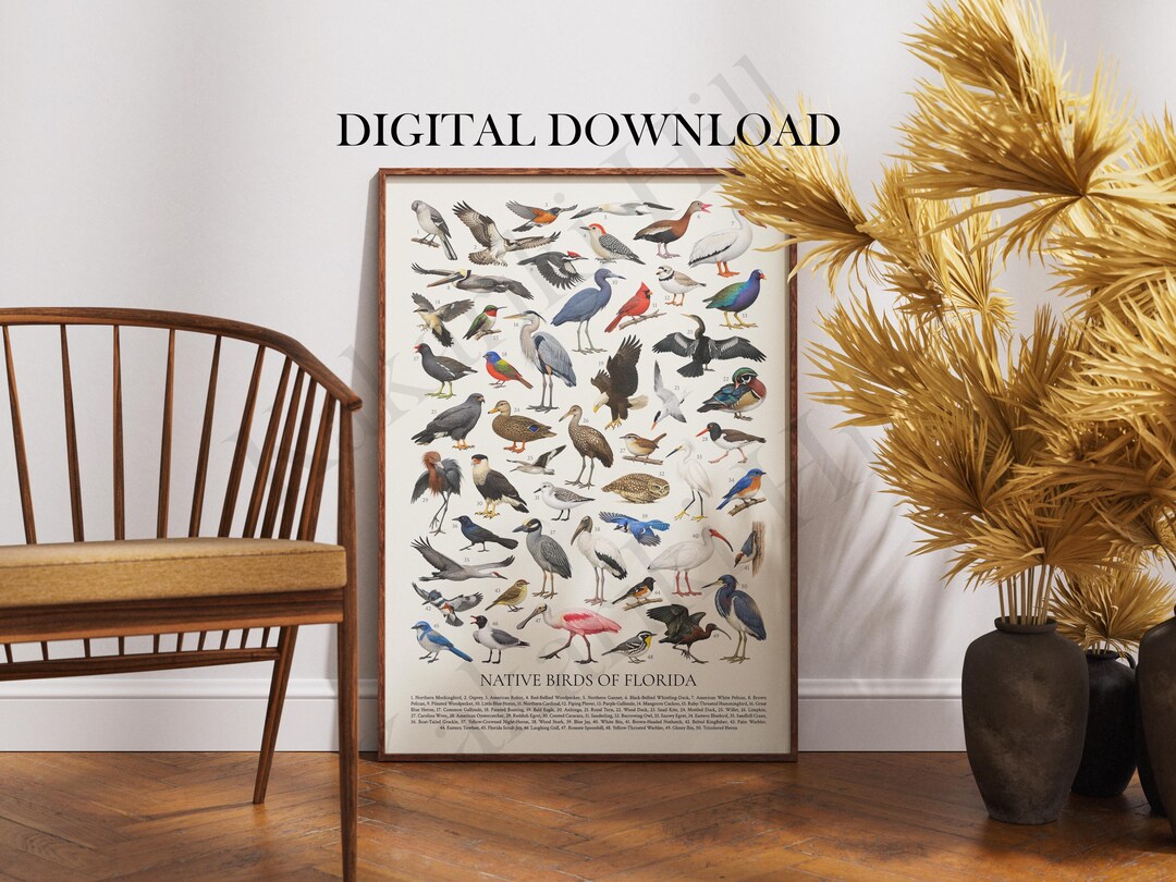 Native Birds of Florida Poster Digital Download: Retro Style ...