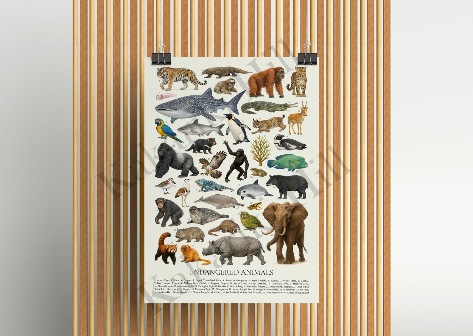 Endangered Chart Simple Endangered Animals Poster: Educational Wildlife Conservation ...