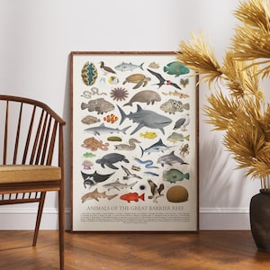 Op de afbeelding: Een ingelijste poster met illustraties van verschillende zeedieren, waaronder vissen, haaien en schildpadden. De poster heeft een beige achtergrond en een bruine lijst. De tekst onderaan luidt "Animals of the Great Barrier Reef."