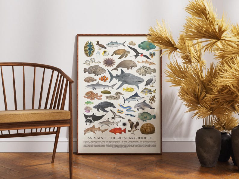 Op de afbeelding: Een ingelijste poster met illustraties van verschillende zeedieren, waaronder vissen, haaien en schildpadden. De poster heeft een beige achtergrond en een bruine lijst. De tekst onderaan luidt "Animals of the Great Barrier Reef."