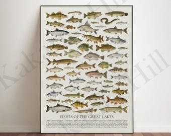 Fishes of the Great Lakes: Retro Style Animal Identification Chart