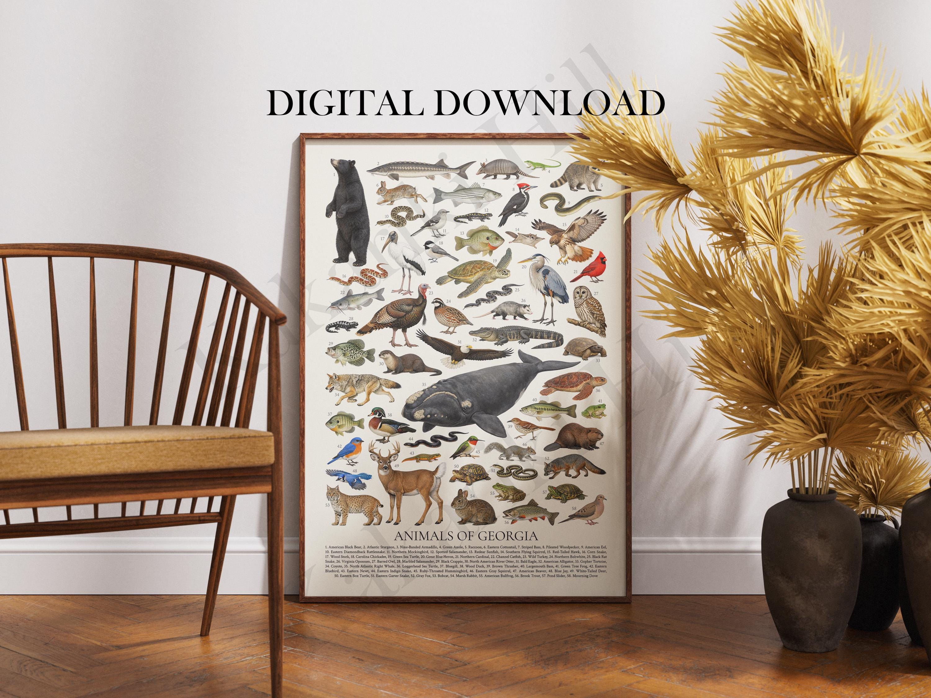 Animals of Georgia Poster Digital Download: Retro Style US State