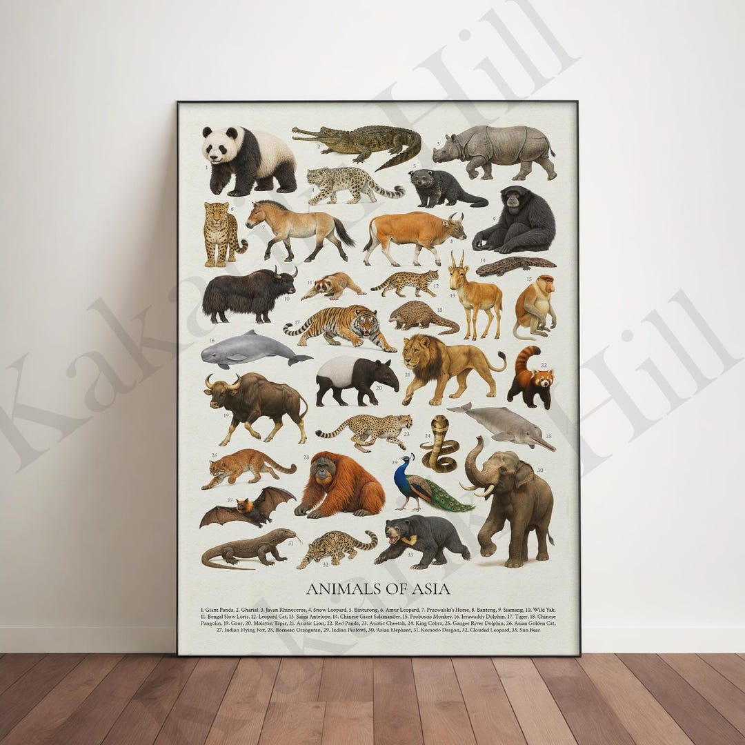 アジアの動物模様アート作品 アジアの動物たち：レトロな動物識別チャート - Etsy 日本