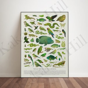 May include: A vertical poster titled Wild World in Green featuring a collection of various green animals, including birds, reptiles, fish, and insects, each numbered and identified in a list at the bottom of the white background print.