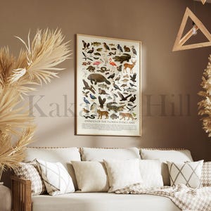 Detailed illustrated poster titled “Animals of the Florida Everglades” featuring a wide variety of labeled wildlife including alligators, manatees, birds, turtles, fish, and mammals arranged in a clean, vintage-style layout. This Everglades wildlife chart highlights biodiversity with realistic animal illustrations on a neutral background, perfect as educational wall art or nature-inspired décor for home, office, or classroom spaces.