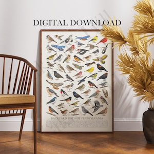 May include: A framed print titled "Backyard Birds of Pennsylvania" featuring a detailed illustration of various bird species. The print is displayed on a wooden floor, next to a wooden chair and a vase with dried plants. The words "DIGITAL DOWNLOAD" are at the top.
