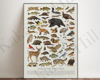 May include: A vertical poster titled Animals of Wisconsin featuring a detailed collection of various wildlife illustrations including a black bear, white-tailed deer, wolf, bald eagle, owl, turkey, and numerous fish, birds, and small mammals.