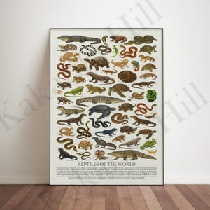 May include: A vertical educational poster titled Reptiles of the World featuring a detailed collection of various reptiles and amphibians in natural colours. The print displays numerous numbered illustrations of snakes, turtles, lizards, and crocodiles.