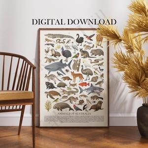 Sea Fishes of New Zealand Poster Digital Download: Retro Style