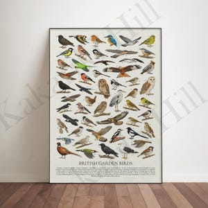 Könnte beinhalten: Ein gerahmter Druck mit einer detaillierten Illustration verschiedener britischer Gartenvögel. Das Kunstwerk zeigt eine vielfältige Sammlung von Vögeln in verschiedenen Posen, mit dem Titel "British Garden Birds" am unteren Rand. Der Druck ist vor einem neutralen Hintergrund.