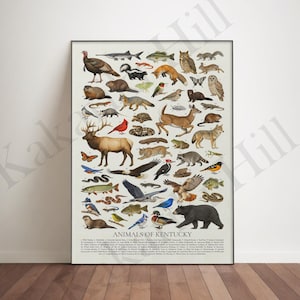 Póster de los animales de Kentucky: Tabla educativa de identificación de la fauna silvestre