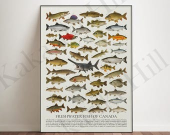 Op de afbeelding: Een verticale poster getiteld Freshwater Fish of Canada met een gedetailleerde collectie van diverse vissoorten in natuurlijke kleuren. De print toont genummerde rijen vissen met een bijbehorende legenda onderaan de pagina.