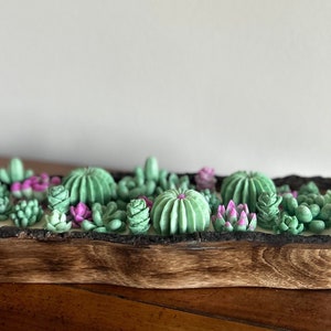 Succulent plant candle image 2