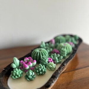 Succulent plant candle image 3