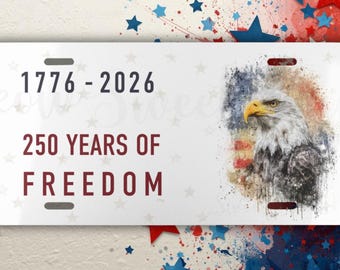 Patriotic Wall Art Decor, Veteran Honor Gift, USA Home Display, Freedom Tribute Piece, Military Tribute Decor, Americana Gift