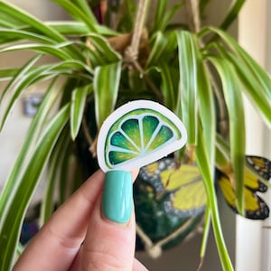 Lime Sticker: Vibrant Citrus Illustration, Waterproof Vinyl Decal