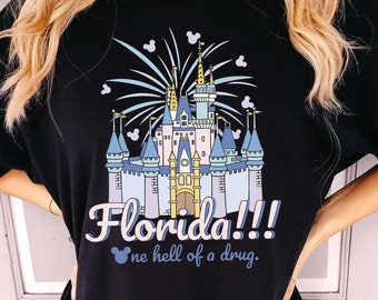 Florida Disney Shirt, Disney  Florida Tee, Magic Kingdom Shirts, Castle Florida Tshirt, Disney World Tshirts, Florida Castle Vibe Sweatshirt