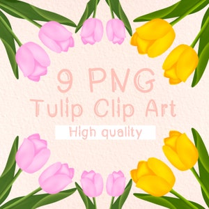 Tulip Clipart