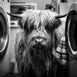 Conjunto de lavanderia Highland Cow 10 fotos - Download digital - Download instantâneo - Decoração de lavanderia - Decoração de parede - Fotos de Highland Cow