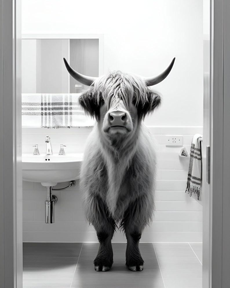 Highland Cows Bathroom Set 2 Digital Download Bathroom Etsy