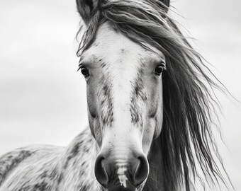 May include: A black and white photograph of a horse with a long mane and a spotted coat. The horse is looking directly at the camera.