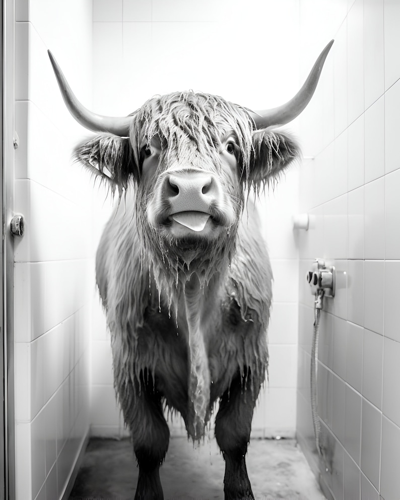 Highland Cows Bathroom Set 2 Digital Download Bathroom Decor