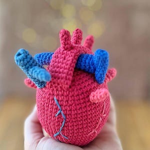May include: A handmade crochet heart in shades of red and blue. The anatomical heart features blue veins and arteries, with delicate blue stitching details. The soft sculpture is held in a hand, showcasing the intricate crochet work.
