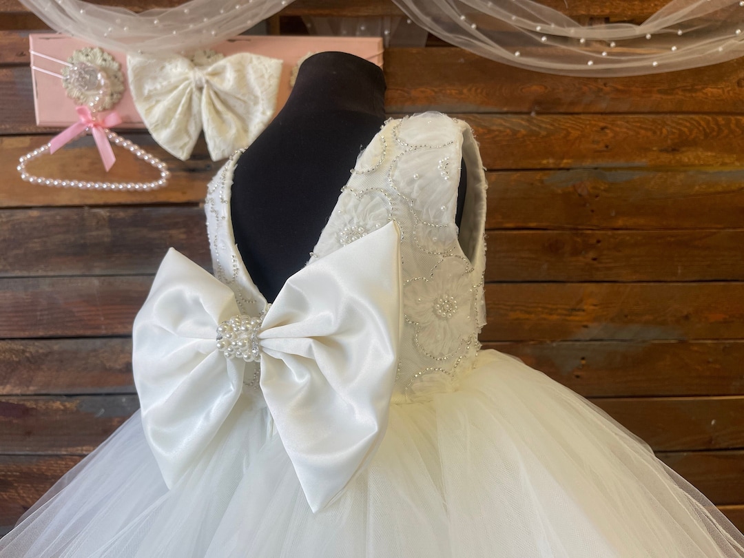 Fancy Kids Blush Pearl Neckline Floral Embroidered Baby Dress w/ Tulle Skirt