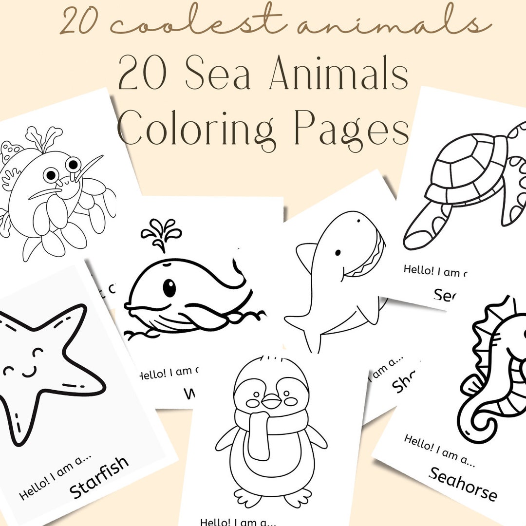 20 Ocean Animals Colouring Pages for Kids Toddlers Colouring - Etsy