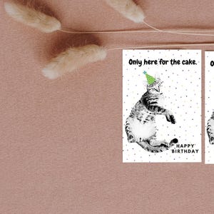 Carte d'anniversaire « Seulement ici pour le gâteau » ; Carte de chat; Téléchargement numérique; Imprimer à la maison