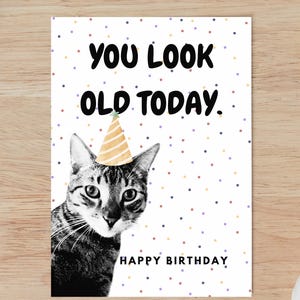 Carte d'anniversaire « Tu as l'air vieux aujourd'hui. »; Carte de chat; Téléchargement numérique; Imprimer à la maison