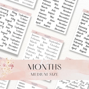 Adesivi per i mesi medi / Foglio di adesivi per il tuo planner, bullet journal o notebook / Adesivi bianchi o trasparenti