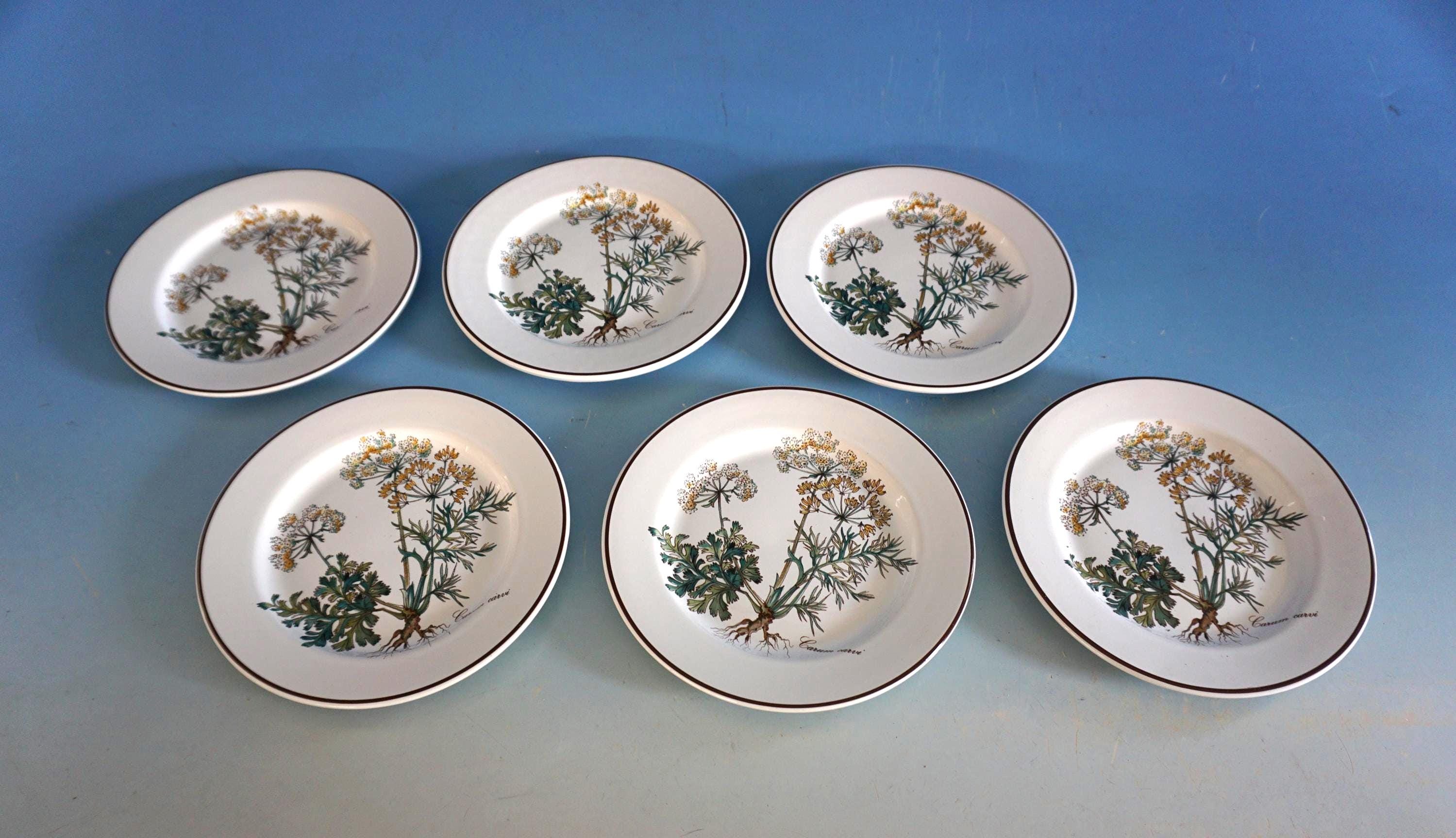 ヴィンテージ ビレロイ＆ボッホ ボタニカ 6枚セット スターター