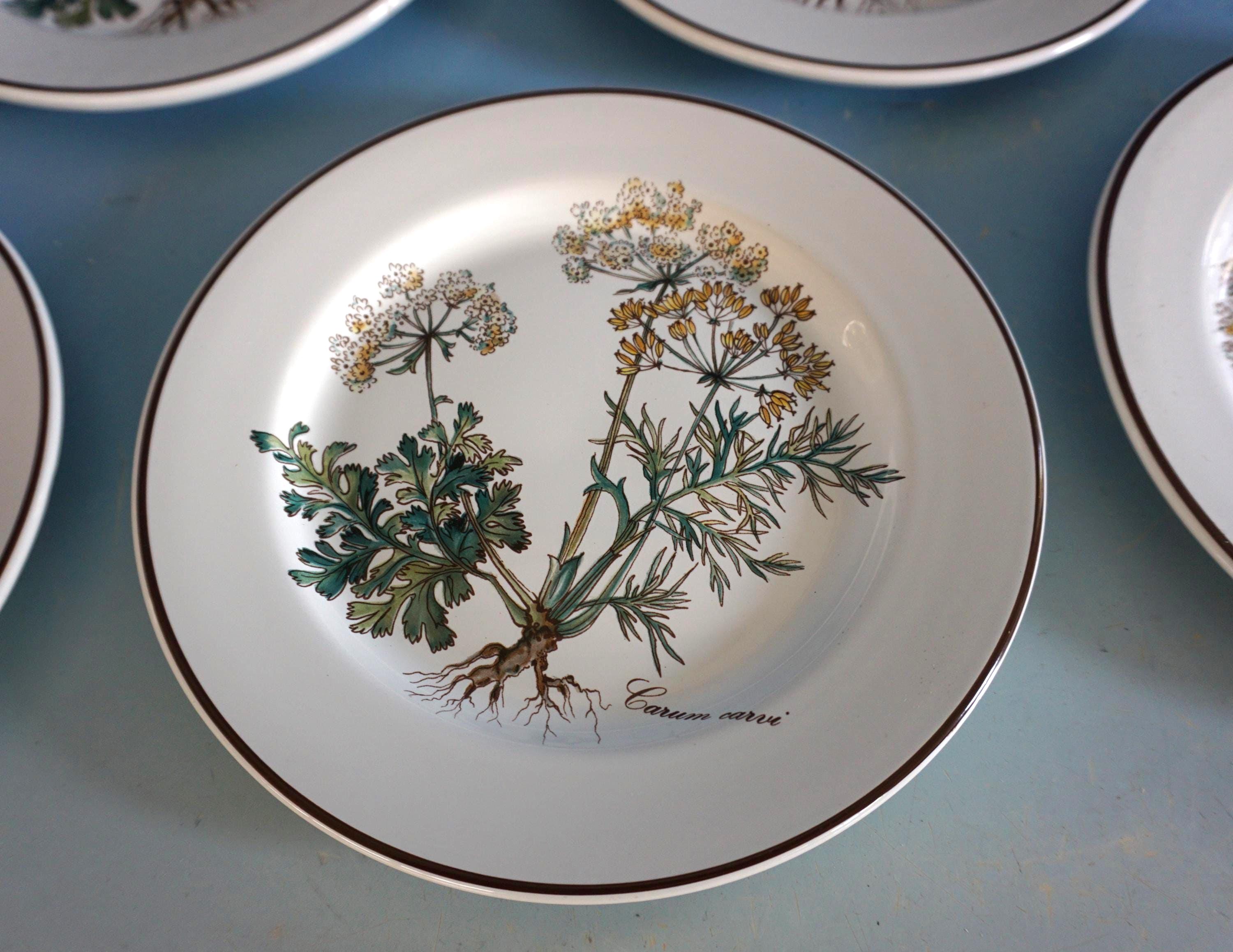 ヴィンテージ ビレロイ＆ボッホ ボタニカ 6枚セット スターター