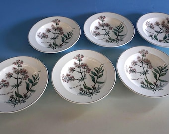 Vintage Villeroy & Boch Botanica 6 soup plates plate Valeriana 21.5 cm (F25-1059)
